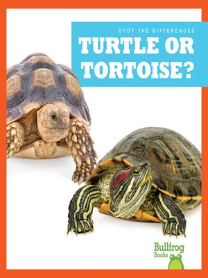 cover image of Turtle or Tortoise?